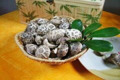 �����Ĺ�Ч������ �������ʺ���Ⱥ����Щ