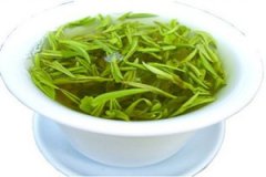 ��Ҷ�����ݷ���ʲô ��Ҷ������Ҫ����