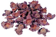 ���ٵĹ�Ч������ ����������������