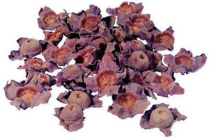 ���ٵĹ�Ч������