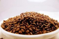 �����ӵĹ�Ч����������Щ �����ӵ�ѡ��