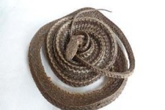 �����ߵĹ�Ч������ �����߿��������