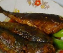 ��ô������ɳ���� ɳ���������