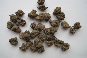 èצ�ݵĹ�Ч������