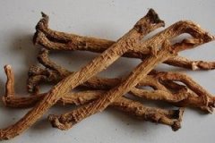 �������Ĺ�Ч������ �������԰�Ѫ����û������