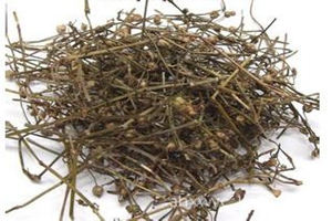 白花蛇舌草的功效与作用