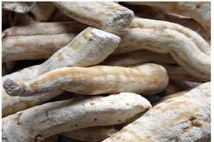 �컨�۵ĸ�����