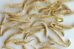 ̫�ӲεĹ�Ч������ ̫�ӲεĴ洢