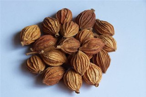 砂仁的副作用 砂仁的食用方法