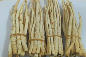 沙参的功效与作用