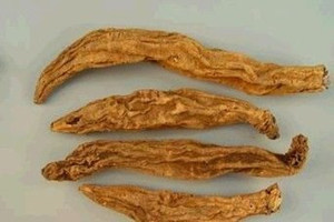 玄参的功效与作用