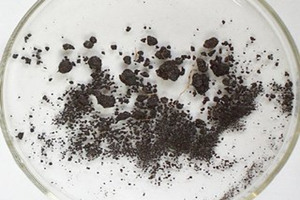 麝香的功效与作用