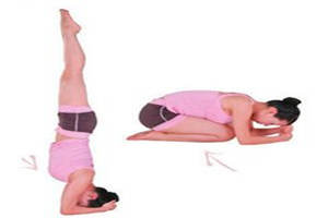 ����������������ϵ��֮ͷ����ʽ�٤����