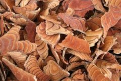 ��Ѫ�ٵĹ�Ч������ ��Ѫ�ٵ��÷�����