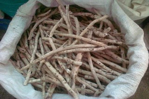 牡丹皮的副作用