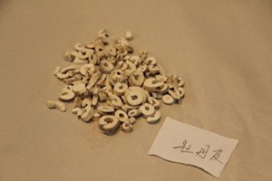 ĵ��Ƥ�Ĺ�Ч������