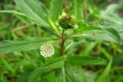 �����ݵĹ�Ч�����ö�����Щ