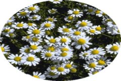 ��ʾվ��͵�������ʲô ��ʾվ��͵Ĺ�Ч