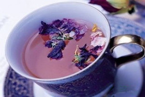 勿忘我花茶的功效与禁忌