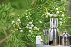 ˿�ؾ��͵Ĺ�Ч������ ˿�ؾ��͵���Ҫ����