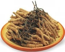 �����Ĳ���ô����� �����ĲݵĳԷ�