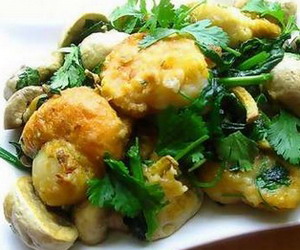 �����ȱ�Ģ��