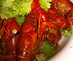 ��Ϻ������ ơ����Ϻ��ô��