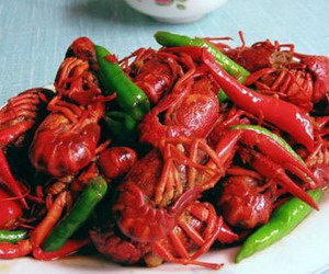 ����˫����Ϻ