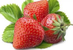 ���ֳ�ʲôˮ�� ������ʳ������