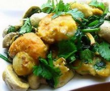 �����ȱ�Ģ����ô�� �ȱ�������