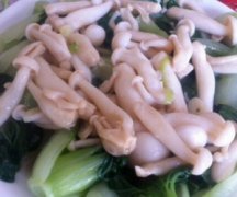 ���񹽰�С�ײ˵����� ��������񹽰�С�ײ�