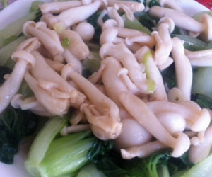 白玉菇扒小白菜