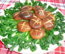 �Ͳ˵����� �㹽�Ͳ������