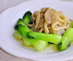 ƽ�����Ͳ�