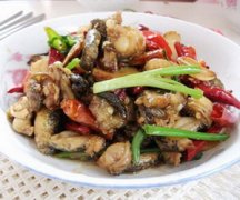 ����������Ｆ �Ｆ������