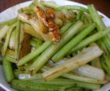 �۲˵����� �����۲���ô��