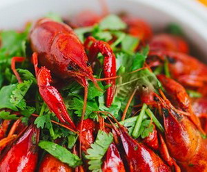 ����С��Ϻ