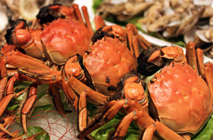 清蒸螃蟹的做法 如何做出好吃的清蒸螃蟹