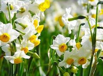 ˮ�ɻ���ֳ���� ˮ�ɻ���ô��ֳ