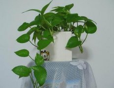 ���ڻ����辰�ص�����Щ ������ʲôԢ��