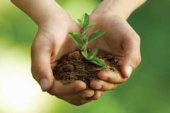 ������̱�ķ�������Щ ������̱�ķ���