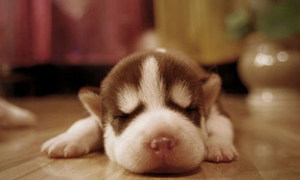 ������ô�� ���ⴺ������ð취