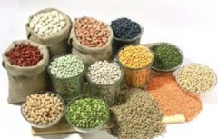 ������ʲô ���۵Ĺ�Ч����������Щ