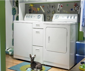 �ݶ���ϴ�»�