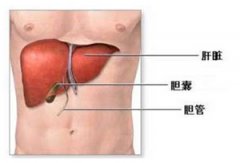 �θ�ˮ��ʳע�������䱣��֪ʶ