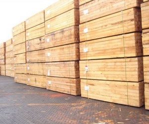 ����Ҭ���