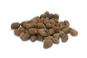 胖大海可以吃吗 胖大海的好处