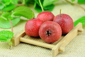 �����������ʳ������Щ �����������ʳ���Ƽ�