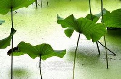 ��÷������η��� ��÷���ڼҾӷ����Ĵ���