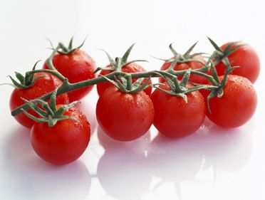 番茄红素的功效""